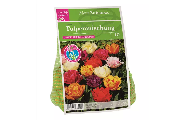 Blumenzwiebel Tulpe Gefüllte Mischung