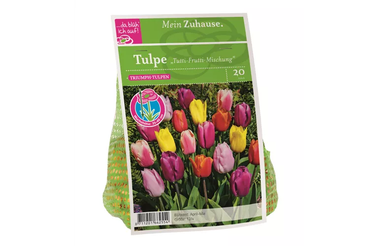 Blumenzwiebel Tulpe Tutti Frutti Mischung