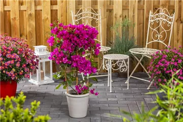 Pflastersteine zum Aufdrucken