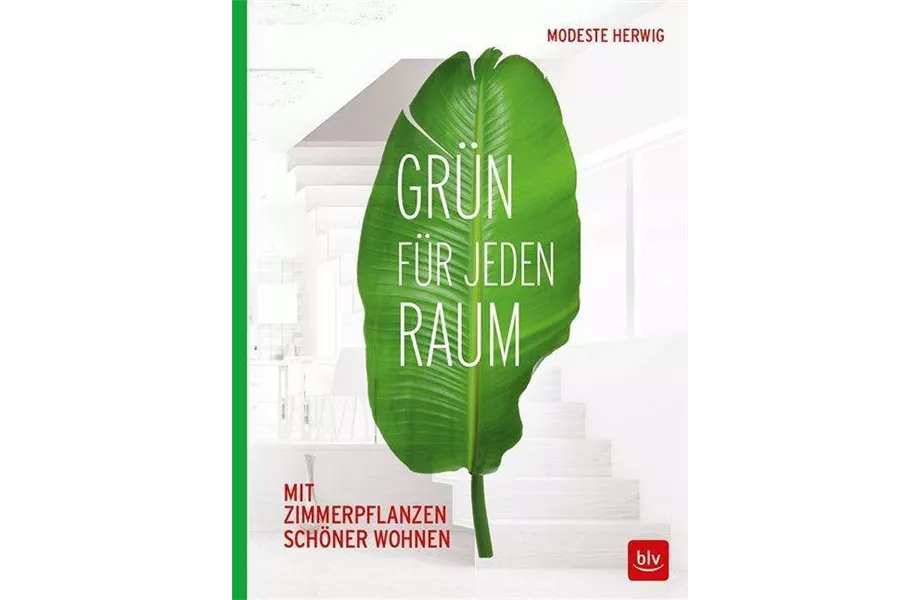 Buch des Monats Januar
