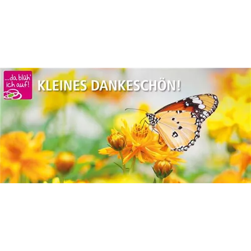 Versand Gutschein